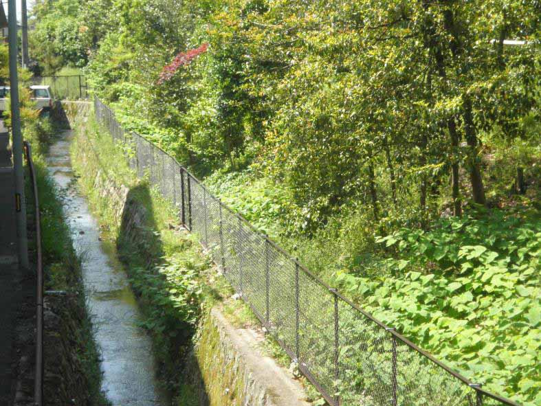 西の川沿いの転落防止柵