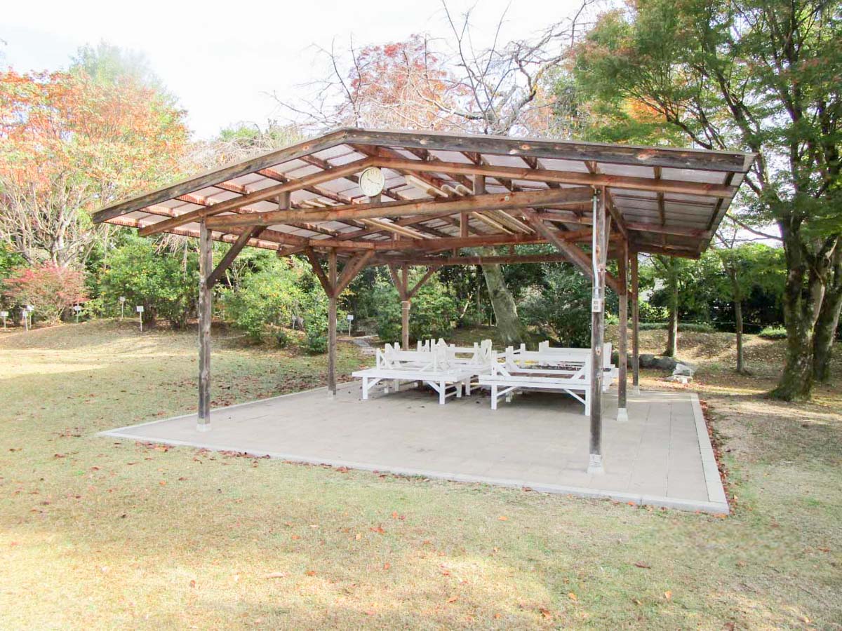 キャンピング研修